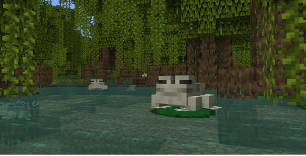 picture1